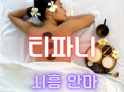 시흥-티파니(안마)